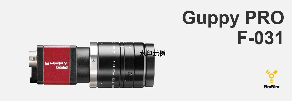 AVT Guppy Pro F-031B/C СweIEEE 1394b FierWire I(y)CCDC